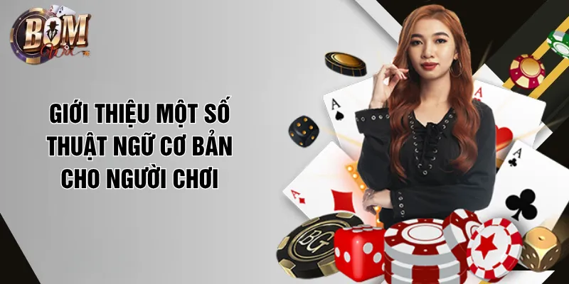 Mẹo Chơi Bài Phỏm Hay Nhất, Giảm 70% Thua, Giữ Bài Chuẩn Giới thiệu một số thuật ngữ cơ bản cho người chơi
